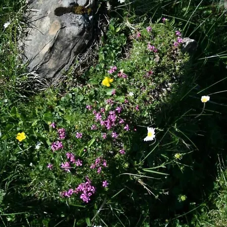 By Interhome Appartement