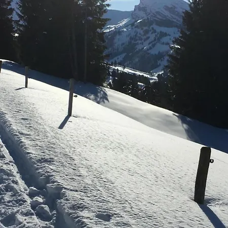 By Interhome Appartement Horboden