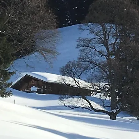 Appartement By Interhome Horboden