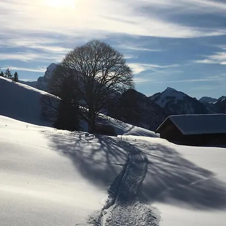 By Interhome Appartement Horboden