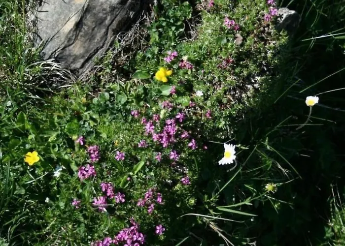 By Interhome Lejlighed