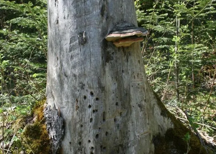 By Interhome Horboden