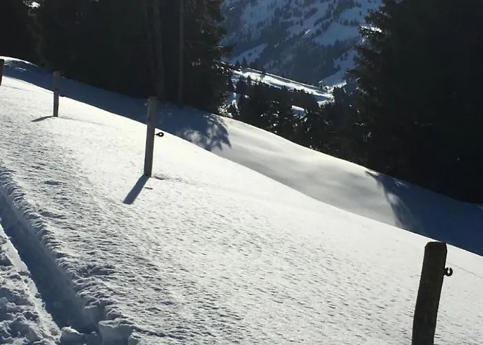 By Interhome דירה Horboden