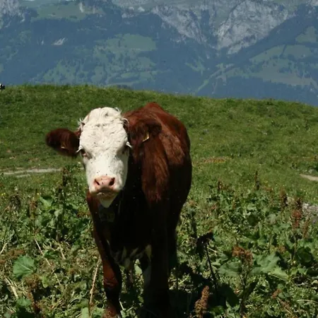 By Interhome * Horboden