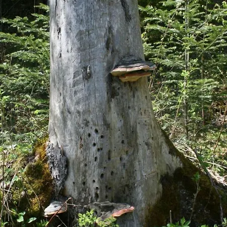 By Interhome Horboden