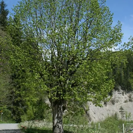 Apartman By Interhome *