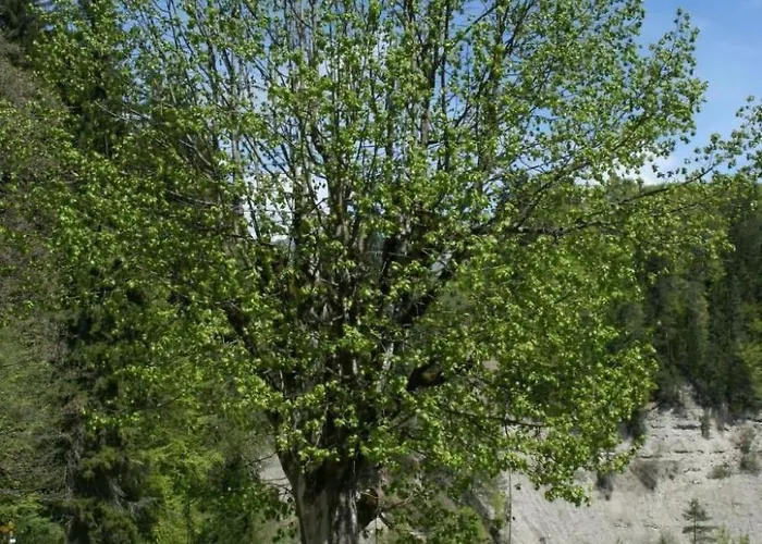 Apartman By Interhome *